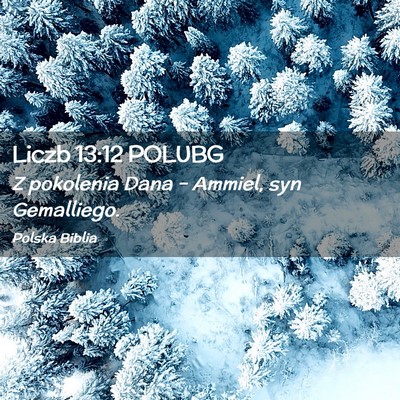 Picture 02 - Liczb 13:12 POLUBG - Z pokolenia Dana – Ammiel, syn - Bible Verse Picture