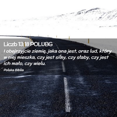 Picture 02 - Liczb 13:18 POLUBG - I obejrzyjcie ziemię, jaka ona jest, oraz lud, - Bible Verse Picture