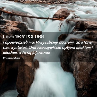 Picture 02 - Liczb 13:27 POLUBG - I opowiedzieli mu: Przyszliśmy do ziemi, do - Bible Verse Picture