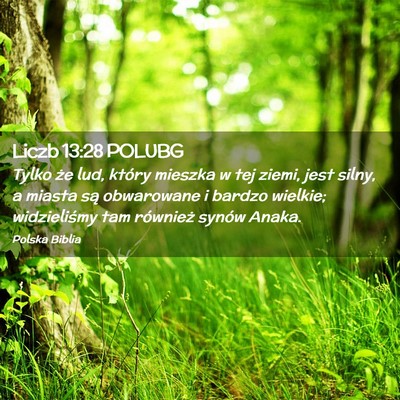 Picture 02 - Liczb 13:28 POLUBG - Tylko że lud, który mieszka w tej ziemi, jest - Bible Verse Picture