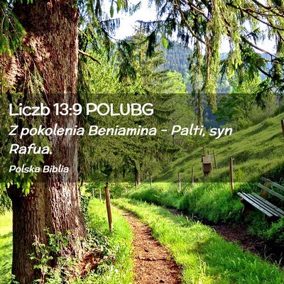 Picture 02 - Liczb 13:9 POLUBG - Z pokolenia Beniamina – Palti, syn - Bible Verse Picture