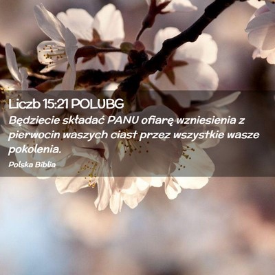 Picture 02 - Liczb 15:21 POLUBG - Będziecie składać PANU ofiarę wzniesienia z - Bible Verse Picture