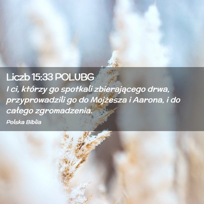 Picture 02 - Liczb 15:33 POLUBG - I ci, którzy go spotkali zbierającego drwa, - Bible Verse Picture