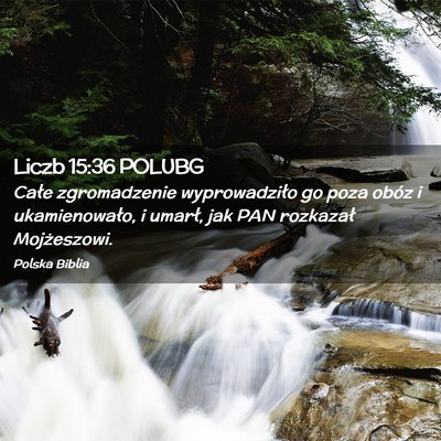 Picture 02 - Liczb 15:36 POLUBG - Całe zgromadzenie wyprowadziło go poza obóz i - Bible Verse Picture