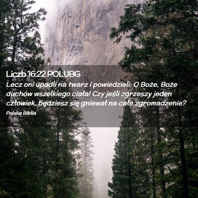 Picture 02 - Liczb 16:22 POLUBG - Lecz oni upadli na twarz i powiedzieli: O Boże, - Bible Verse Picture