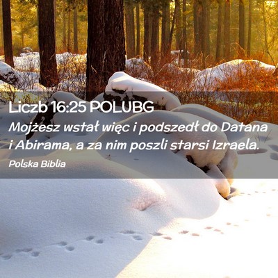 Picture 02 - Liczb 16:25 POLUBG - Mojżesz wstał więc i podszedł do Datana i - Bible Verse Picture