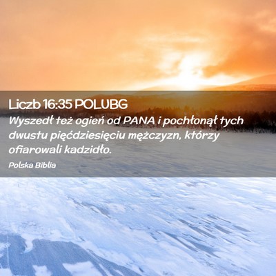 Picture 02 - Liczb 16:35 POLUBG - Wyszedł też ogień od PANA i pochłonął tych - Bible Verse Picture