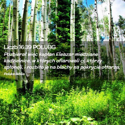 Picture 02 - Liczb 16:39 POLUBG - Pozbierał więc kapłan Eleazar miedziane - Bible Verse Picture