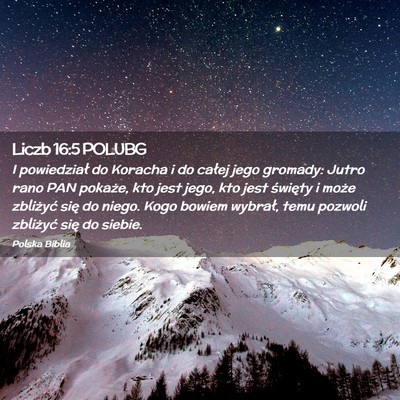 Picture 02 - Liczb 16:5 POLUBG - I powiedział do Koracha i do całej jego - Bible Verse Picture
