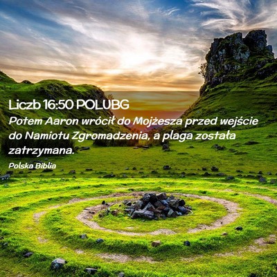 Picture 02 - Liczb 16:50 POLUBG - Potem Aaron wrócił do Mojżesza przed wejście - Bible Verse Picture
