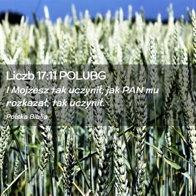 Picture 02 - Liczb 17:11 POLUBG - I Mojżesz tak uczynił; jak PAN mu rozkazał, - Bible Verse Picture