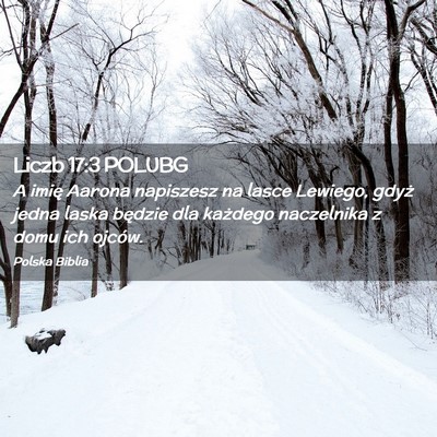 Picture 02 - Liczb 17:3 POLUBG - A imię Aarona napiszesz na lasce Lewiego, gdyż - Bible Verse Picture