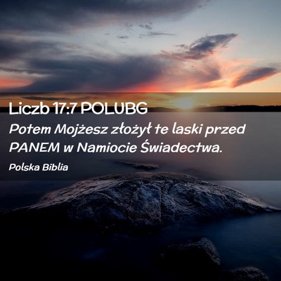 Picture 02 - Liczb 17:7 POLUBG - Potem Mojżesz złożył te laski przed PANEM w - Bible Verse Picture