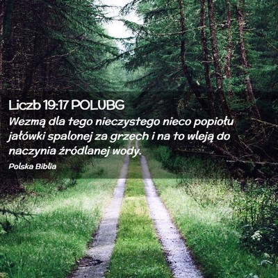 Picture 02 - Liczb 19:17 POLUBG - Wezmą dla tego nieczystego nieco popiołu - Bible Verse Picture
