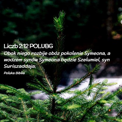 Picture 02 - Liczb 2:12 POLUBG - Obok niego rozbije obóz pokolenie Symeona, a - Bible Verse Picture