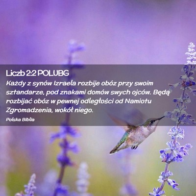 Picture 02 - Liczb 2:2 POLUBG - Każdy z synów Izraela rozbije obóz przy swoim - Bible Verse Picture