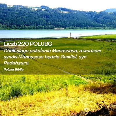 Picture 02 - Liczb 2:20 POLUBG - Obok niego pokolenie Manassesa, a wodzem synów - Bible Verse Picture