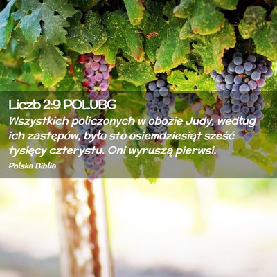 Picture 02 - Liczb 2:9 POLUBG - Wszystkich policzonych w obozie Judy, według ich - Bible Verse Picture