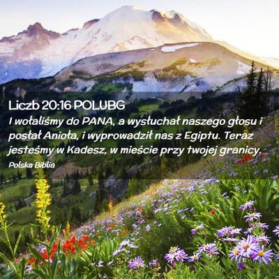 Picture 02 - Liczb 20:16 POLUBG - I wołaliśmy do PANA, a wysłuchał naszego - Bible Verse Picture