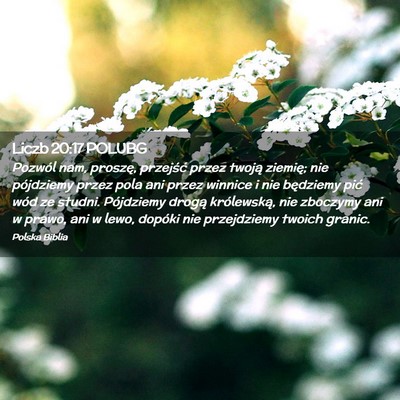 Picture 02 - Liczb 20:17 POLUBG - Pozwól nam, proszę, przejść przez twoją - Bible Verse Picture