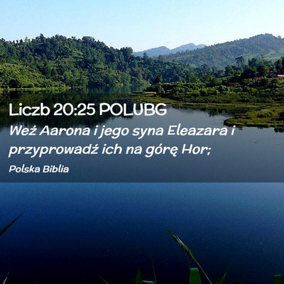 Picture 02 - Liczb 20:25 POLUBG - Weź Aarona i jego syna Eleazara i przyprowadź - Bible Verse Picture