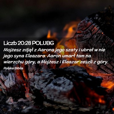 Picture 02 - Liczb 20:28 POLUBG - Mojżesz zdjął z Aarona jego szaty i ubrał w - Bible Verse Picture