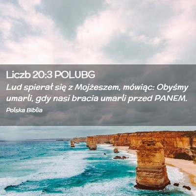 Picture 02 - Liczb 20:3 POLUBG - Lud spierał się z Mojżeszem, mówiąc: Obyśmy - Bible Verse Picture