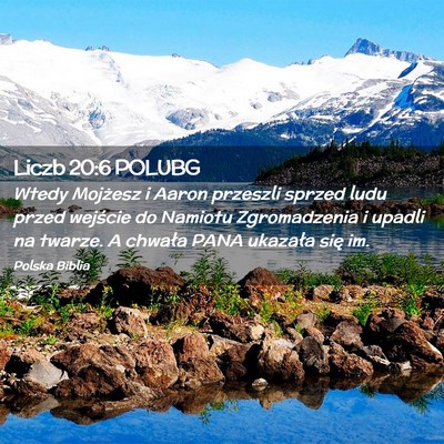 Picture 02 - Liczb 20:6 POLUBG - Wtedy Mojżesz i Aaron przeszli sprzed ludu przed - Bible Verse Picture