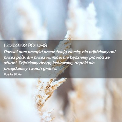 Picture 02 - Liczb 21:22 POLUBG - Pozwól nam przejść przez twoją ziemię; nie - Bible Verse Picture