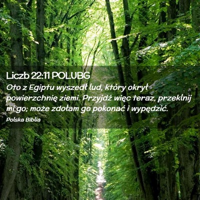 Picture 02 - Liczb 22:11 POLUBG - Oto z Egiptu wyszedł lud, który okrył - Bible Verse Picture
