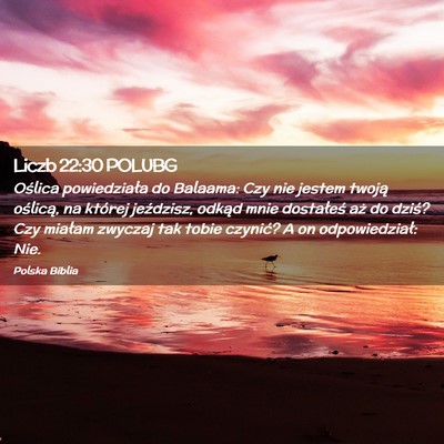 Picture 02 - Liczb 22:30 POLUBG - Oślica powiedziała do Balaama: Czy nie jestem - Bible Verse Picture