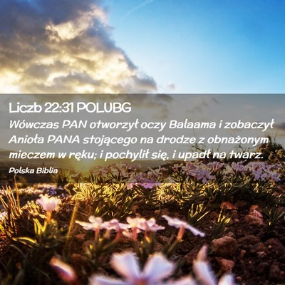 Picture 02 - Liczb 22:31 POLUBG - Wówczas PAN otworzył oczy Balaama i zobaczył - Bible Verse Picture