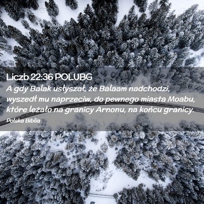 Picture 02 - Liczb 22:36 POLUBG - A gdy Balak usłyszał, że Balaam nadchodzi, - Bible Verse Picture