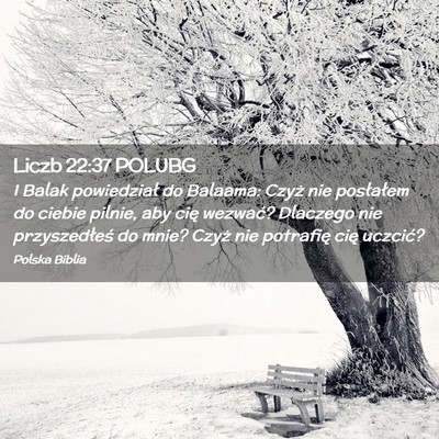 Picture 02 - Liczb 22:37 POLUBG - I Balak powiedział do Balaama: Czyż nie - Bible Verse Picture