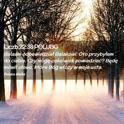 Picture 02 - Liczb 22:38 POLUBG - Balaam odpowiedział Balakowi: Oto przybyłem do - Bible Verse Picture