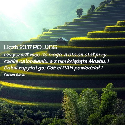 Picture 02 - Liczb 23:17 POLUBG - Przyszedł więc do niego, a oto on stał przy - Bible Verse Picture