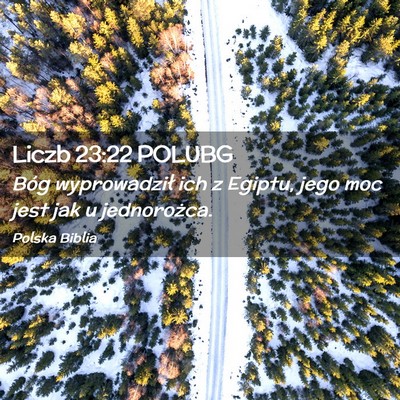 Picture 02 - Liczb 23:22 POLUBG - Bóg wyprowadził ich z Egiptu, jego moc jest jak - Bible Verse Picture
