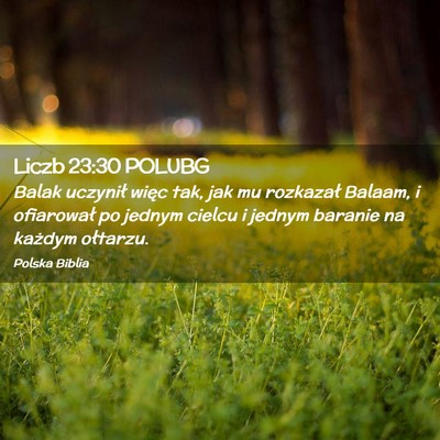 Picture 02 - Liczb 23:30 POLUBG - Balak uczynił więc tak, jak mu rozkazał - Bible Verse Picture