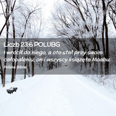 Picture 02 - Liczb 23:6 POLUBG - I wrócił do niego, a oto stał przy swoim - Bible Verse Picture