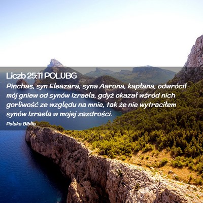 Picture 02 - Liczb 25:11 POLUBG - Pinchas, syn Eleazara, syna Aarona, kapłana, - Bible Verse Picture
