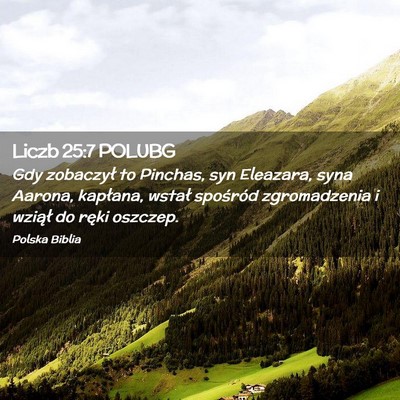 Picture 02 - Liczb 25:7 POLUBG - Gdy zobaczył to Pinchas, syn Eleazara, syna - Bible Verse Picture