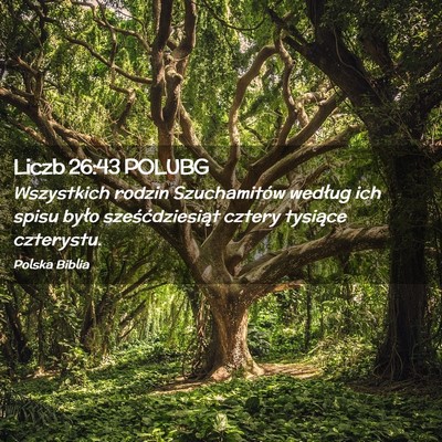 Picture 02 - Liczb 26:43 POLUBG - Wszystkich rodzin Szuchamitów według ich spisu - Bible Verse Picture