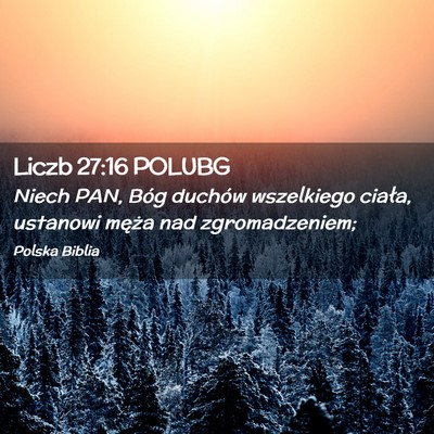 Picture 02 - Liczb 27:16 POLUBG - Niech PAN, Bóg duchów wszelkiego ciała, - Bible Verse Picture