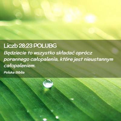 Picture 02 - Liczb 28:23 POLUBG - Będziecie to wszystko składać oprócz - Bible Verse Picture
