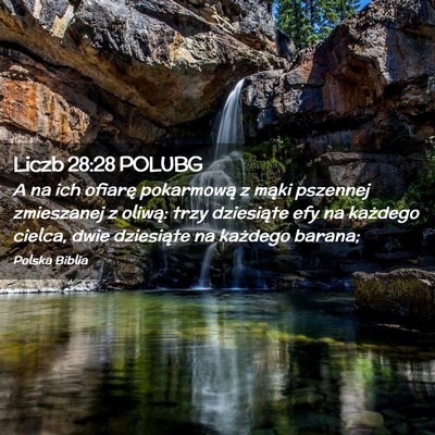 Picture 02 - Liczb 28:28 POLUBG - A na ich ofiarę pokarmową z mąki pszennej - Bible Verse Picture