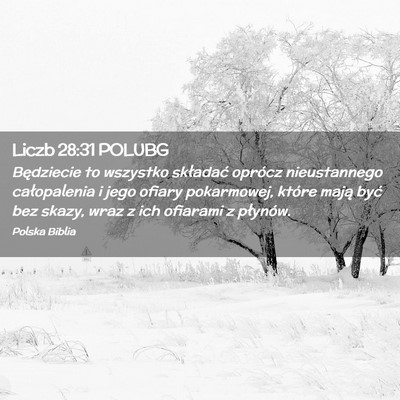 Picture 02 - Liczb 28:31 POLUBG - Będziecie to wszystko składać oprócz - Bible Verse Picture