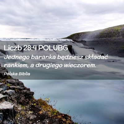 Picture 02 - Liczb 28:4 POLUBG - Jednego baranka będziesz składać rankiem, a - Bible Verse Picture