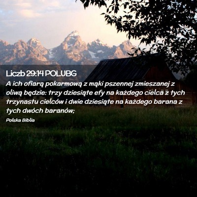 Picture 02 - Liczb 29:14 POLUBG - A ich ofiarą pokarmową z mąki pszennej - Bible Verse Picture