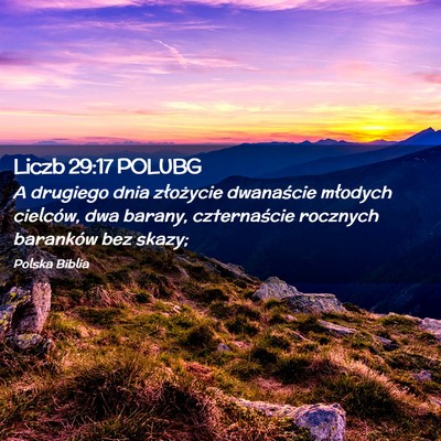 Picture 02 - Liczb 29:17 POLUBG - A drugiego dnia złożycie dwanaście młodych - Bible Verse Picture