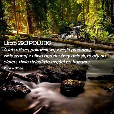 Picture 02 - Liczb 29:3 POLUBG - A ich ofiarą pokarmową z mąki pszennej - Bible Verse Picture
